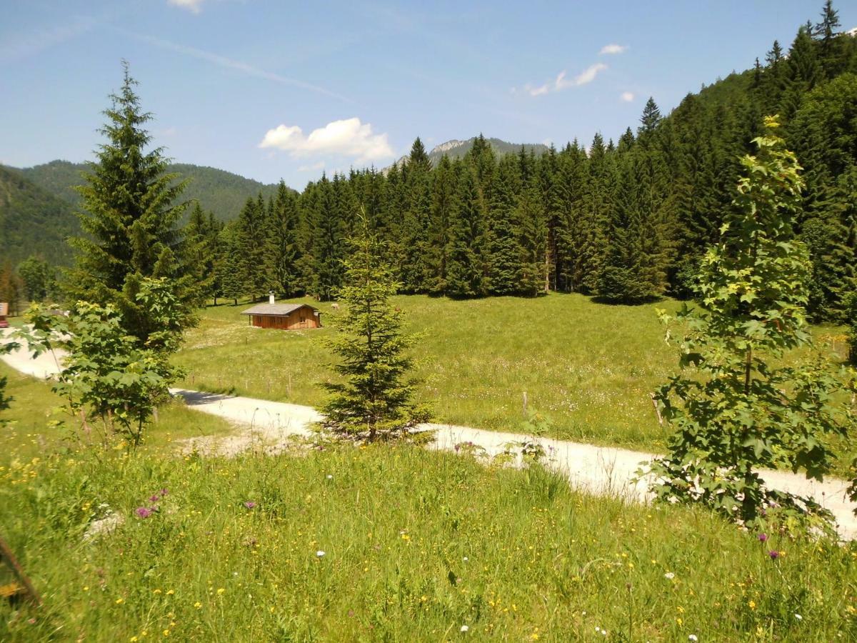 Seewiesenalm Reit im Winkl Extérieur photo